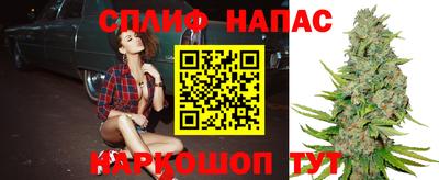 индика Рузаевка