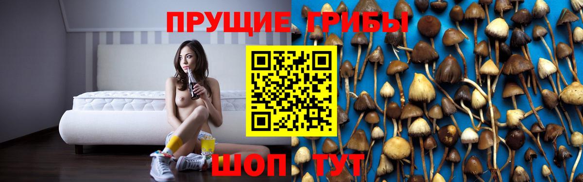 Галлюциногенные грибы Magic Shrooms Сафоново